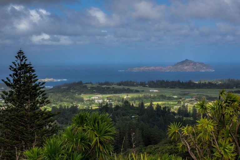 norfolk island bird watching tours