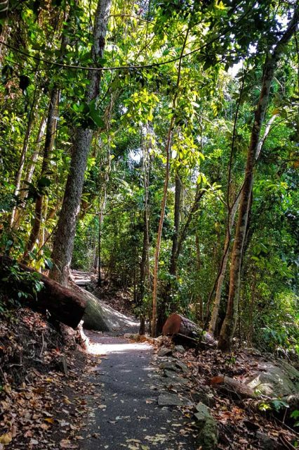 A Fitzroy Island Day Trip and Kayaking