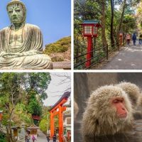 Take a day trip from Tokyo