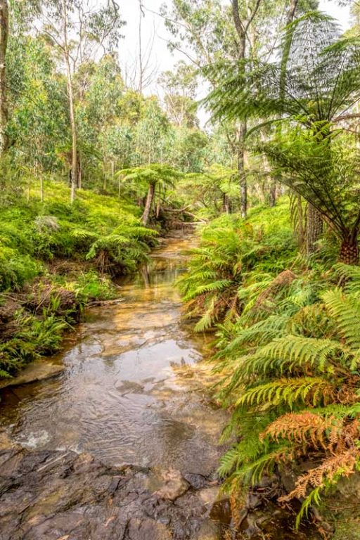 27 Fun things to do in the Blue Mountains