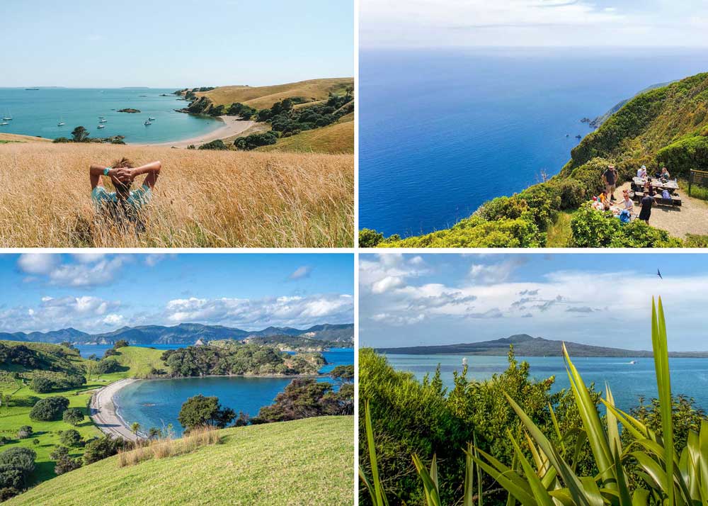 4 photo collage of New Zealand islands