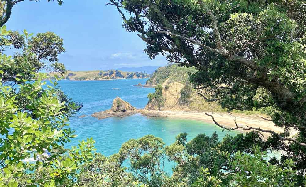 View of Rotorua Island in the Hauraki Gulf off Auckland