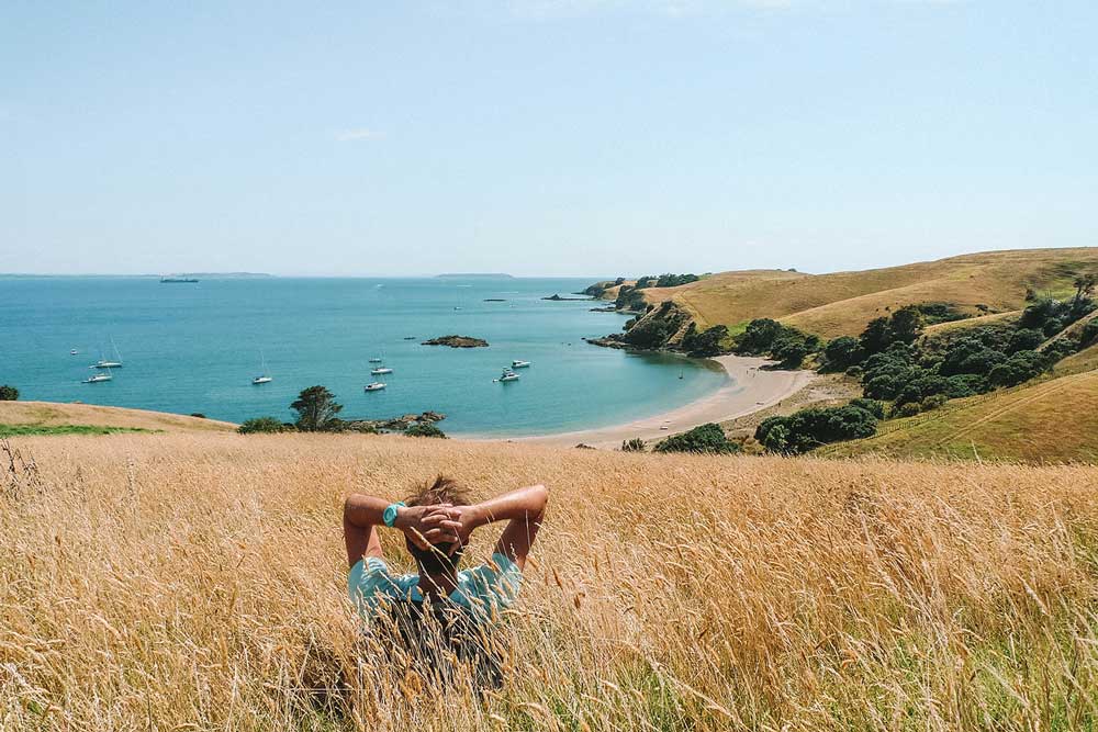 View from a grassy bank on Mototapu Island over the bay