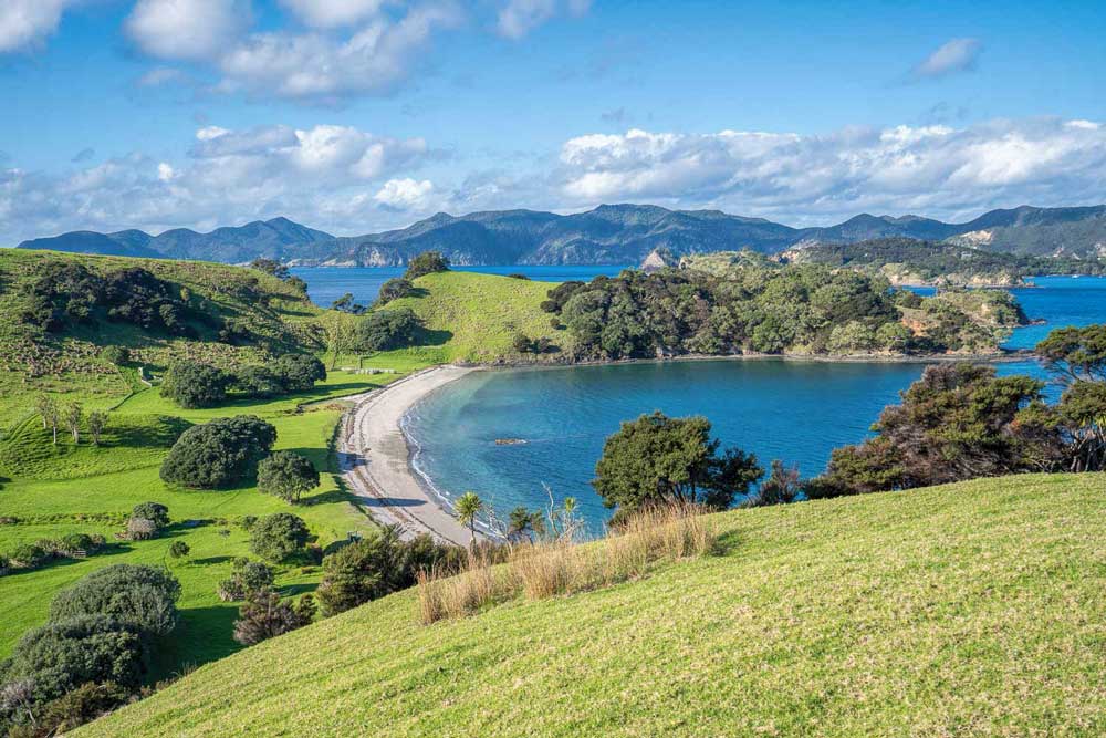 View over hillside down to beach at Urupukapuka Island