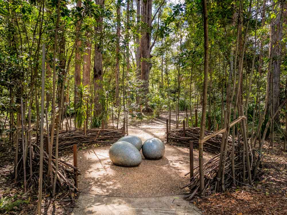 Maroochy botanic gardens nest sculpture