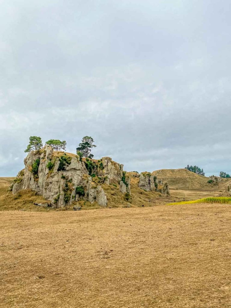 Waikato scenery