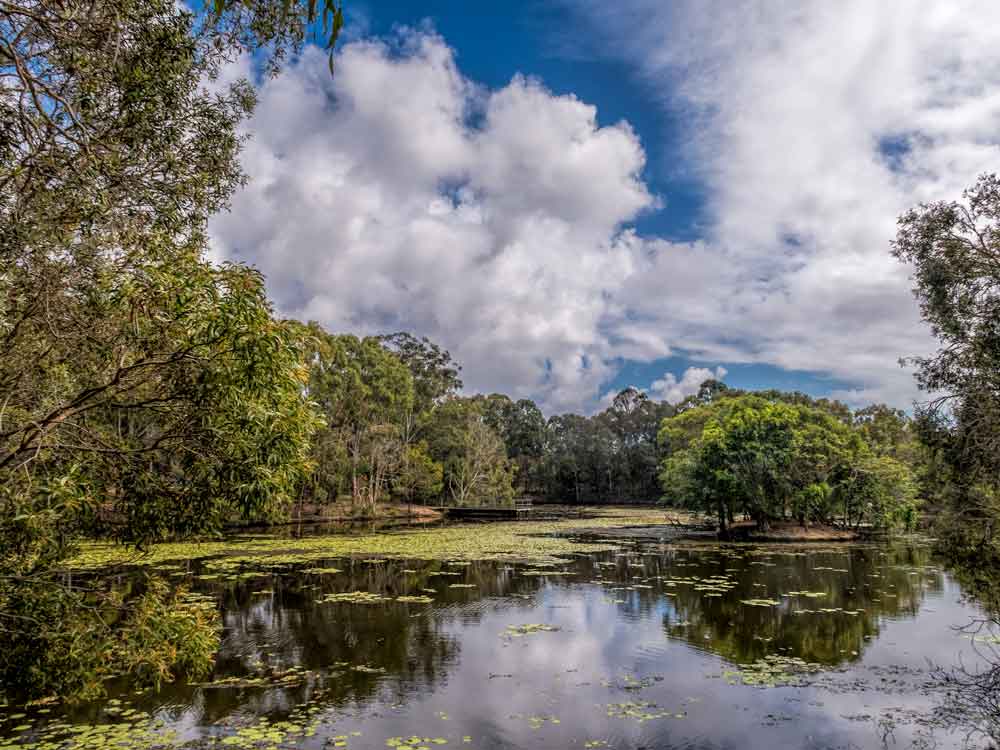 Small lagoon at Crystal Waters Park