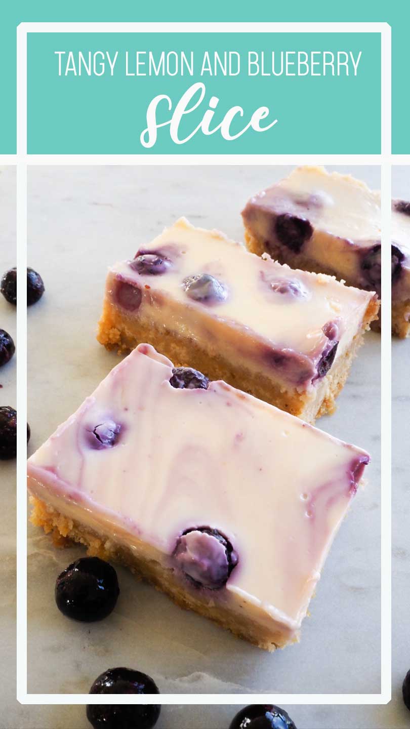 tangy-blueberry-lemon-slice