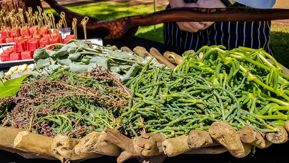 Bush Tucker greens at Ayers Rock Resort