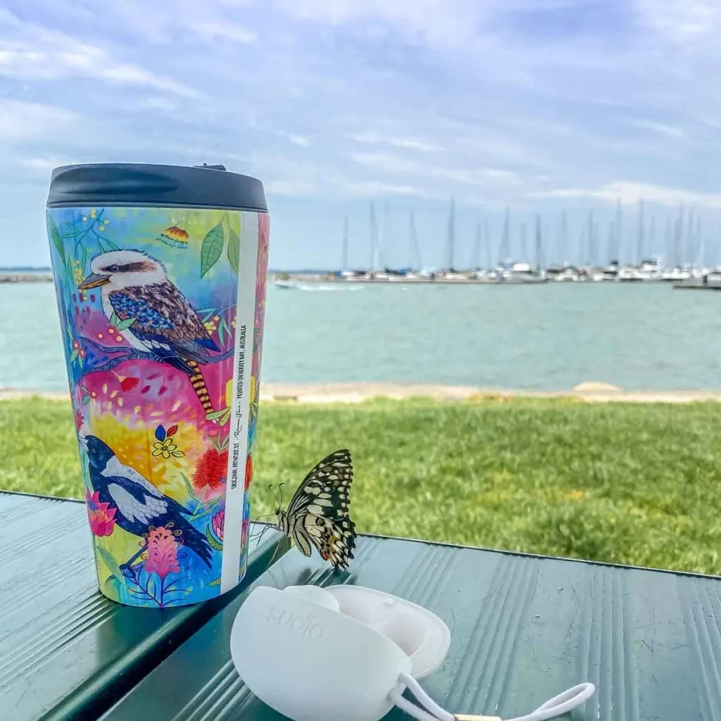 Butterfly landed on painted hot cup in Manly Marina