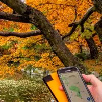 WIFI Internet in Japan using router at park in Kyoto