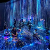 teamLab borderless in Tokyo