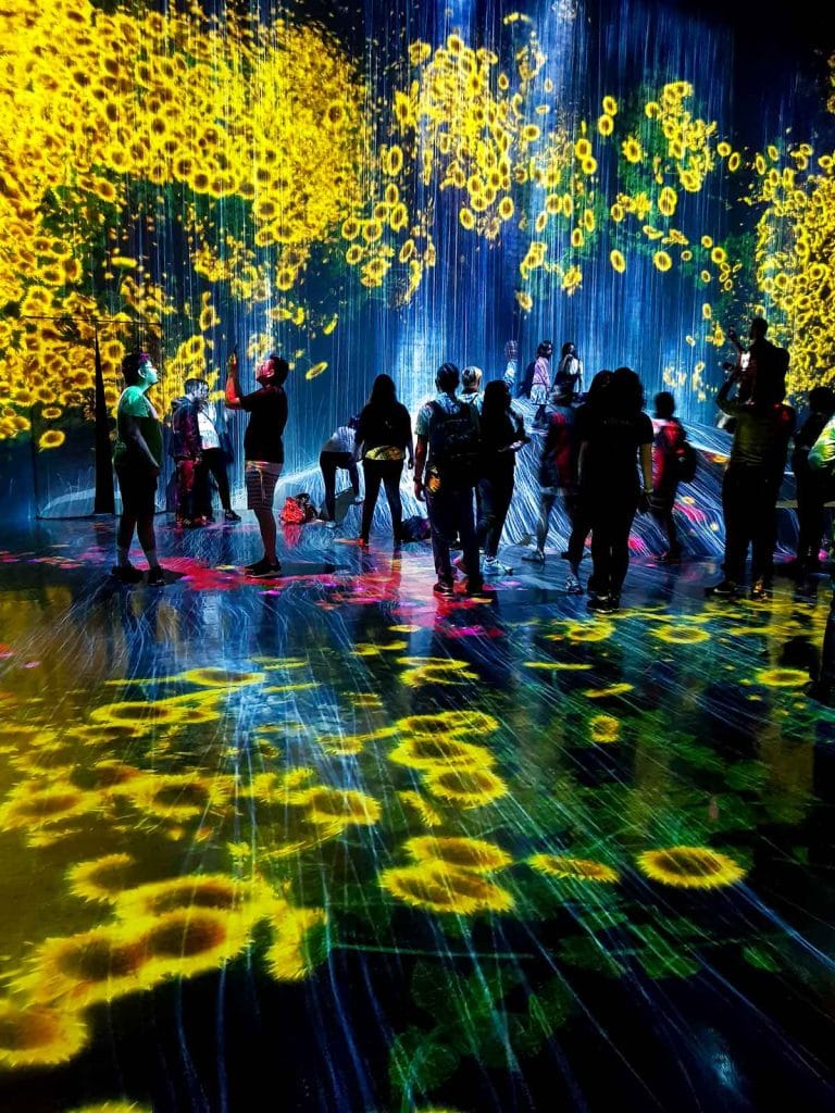 teamLab BORDERLESS where fun fuses with art in Tokyo